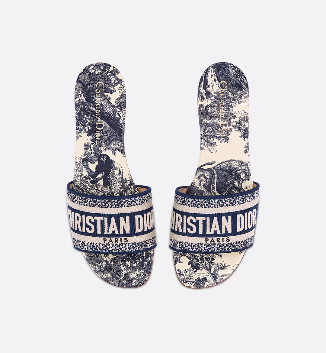 Dway Slide - Image 4